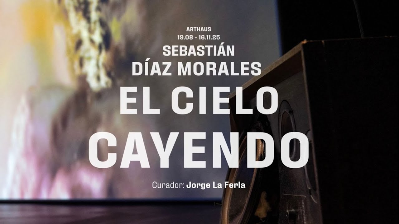Sebastián Díaz Morales - EL CIELO CAYENDO - Registro de exhibición