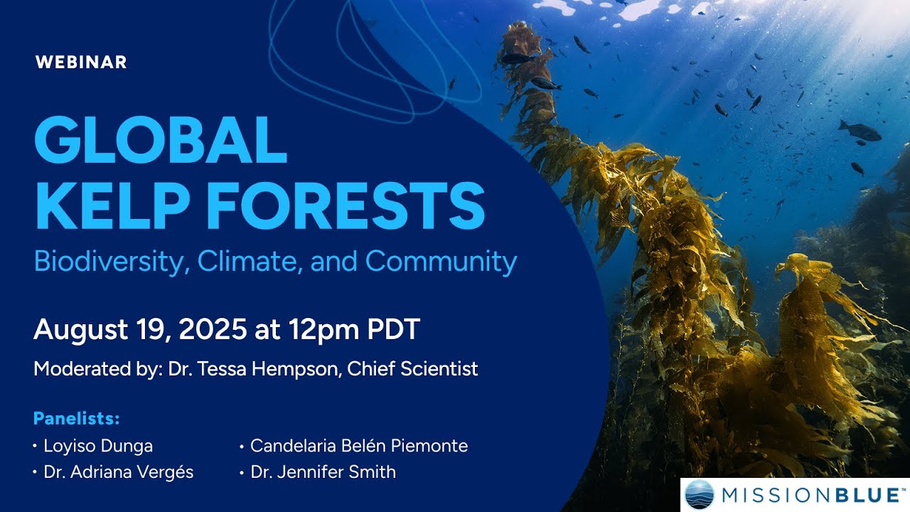 WEBINAR | Global Kelp Forests: Biodiversity, Climate, and Community