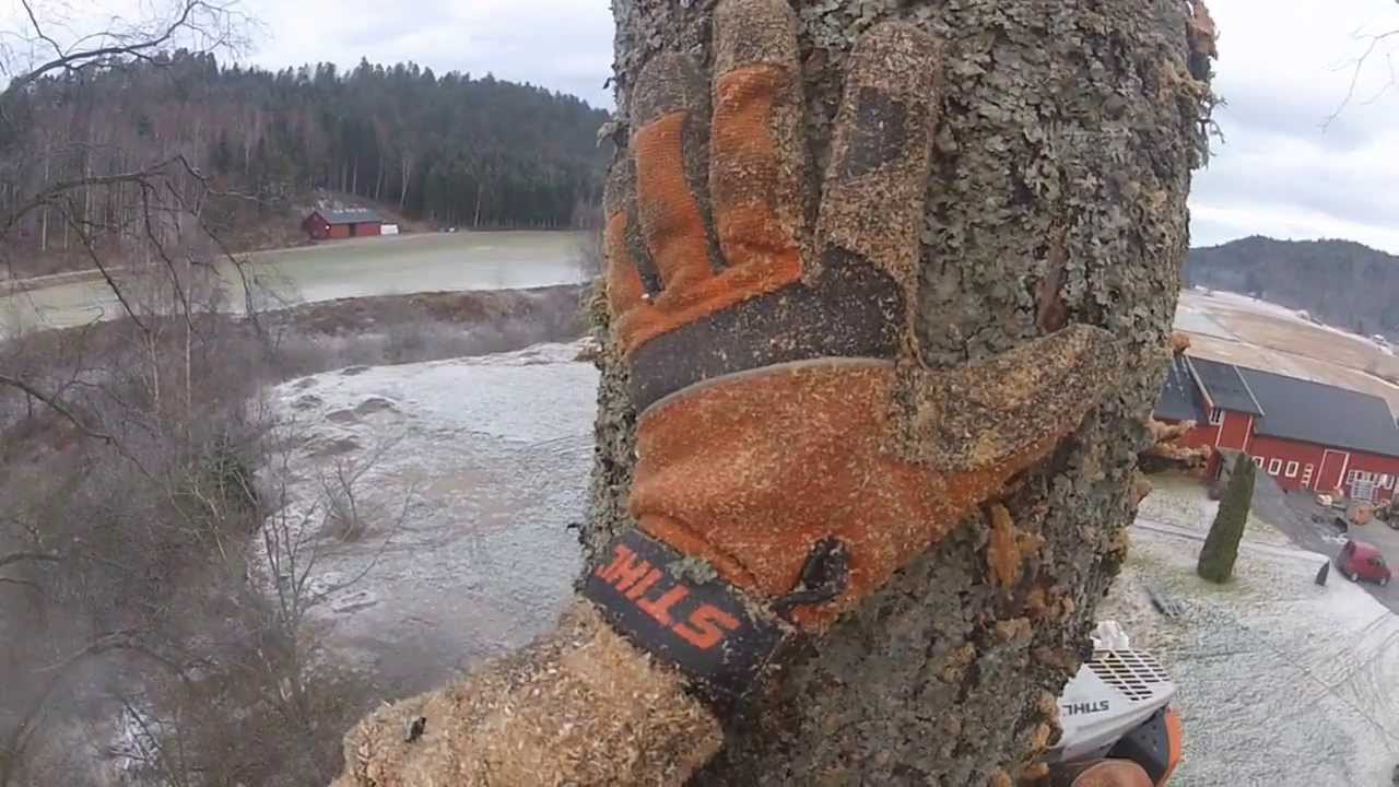Trefelling - Roy Køhler
