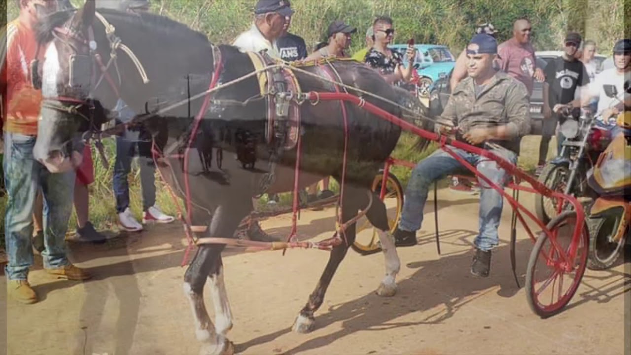 Corrido de Chacorta