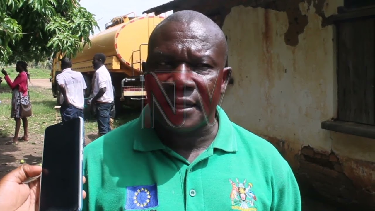 Terego farmers embrace piggery to boost household income