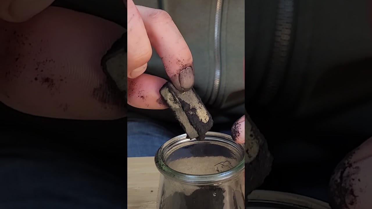 BIOCHAR et d&eacute;pollution des sols explication de la magie