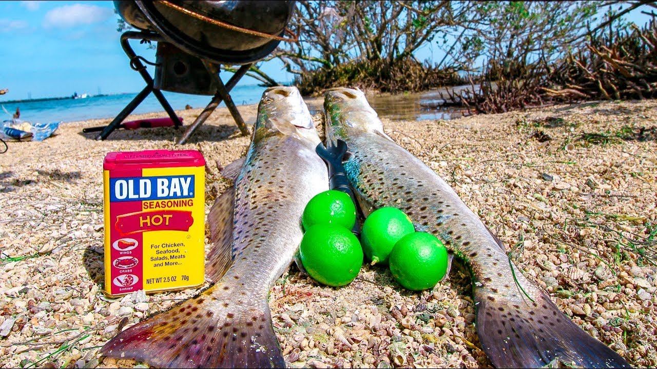 Trout Catch and Cook Summer Fishing for Food