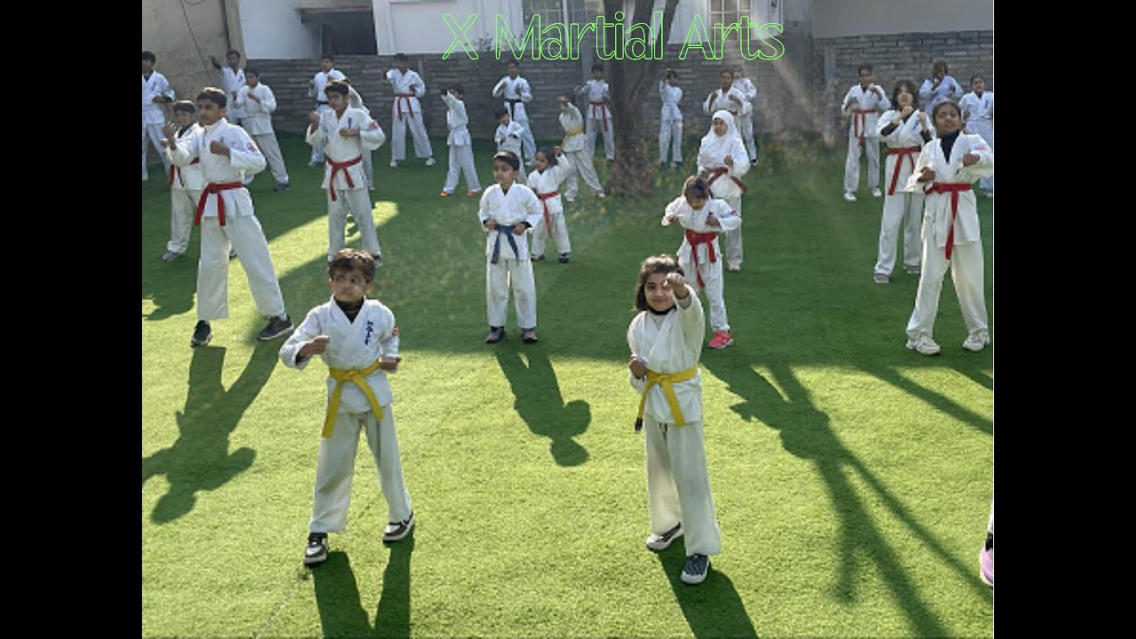 4th Belt Promotion Test  #wko #Kyokushin #KarateTraining #kyokushinkarate