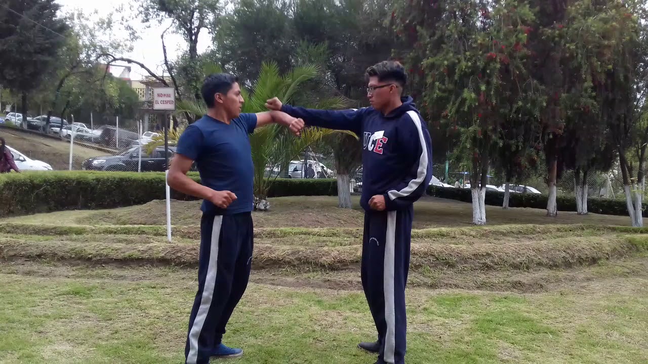 Defensa y bloqueos karate