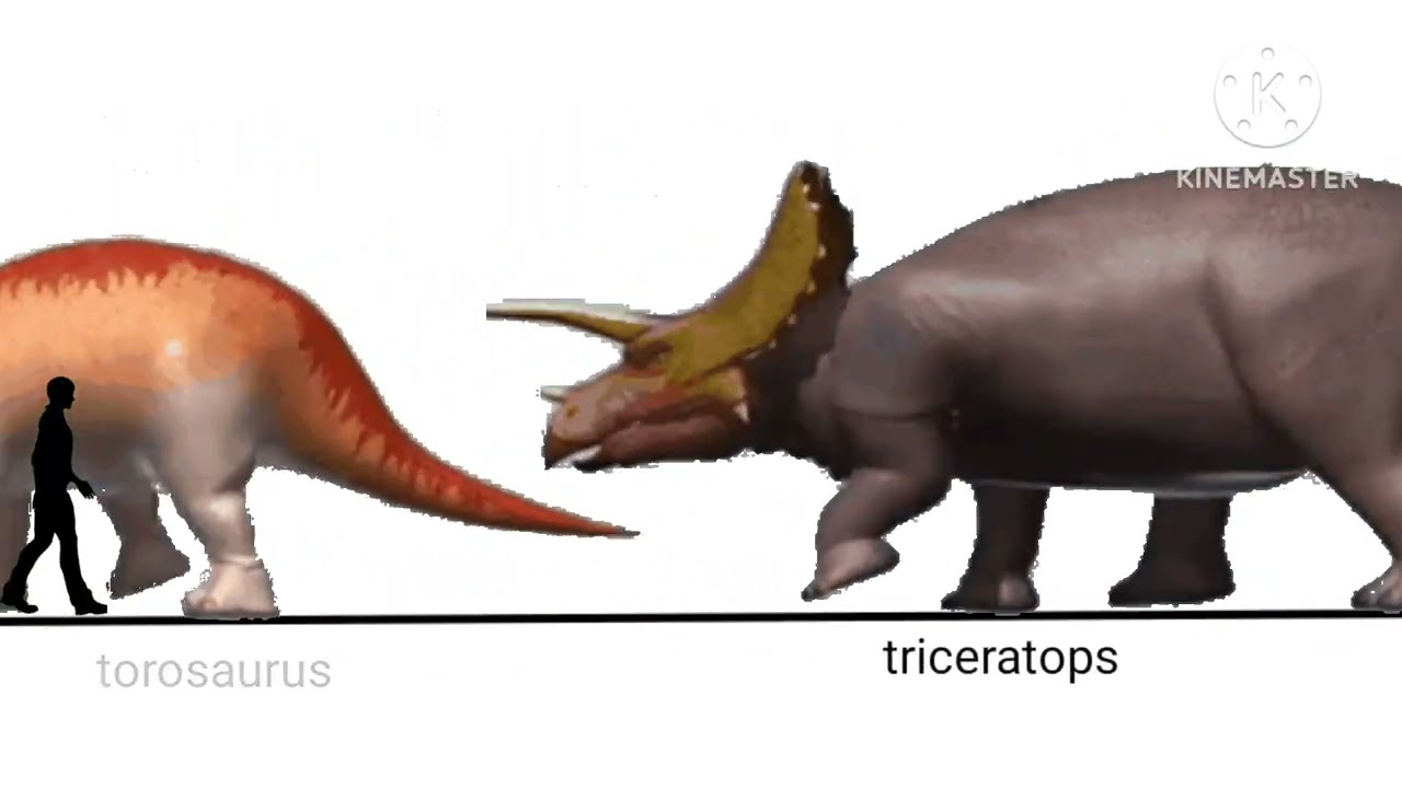 Dinomaster size comparison