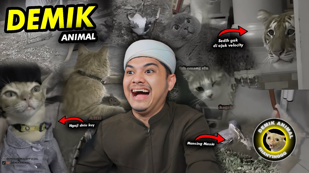 JANGAN SALAHIN ANE KALO PIPI KALIAN KERAM🗿🗿🗿 Reaction Demik Animal