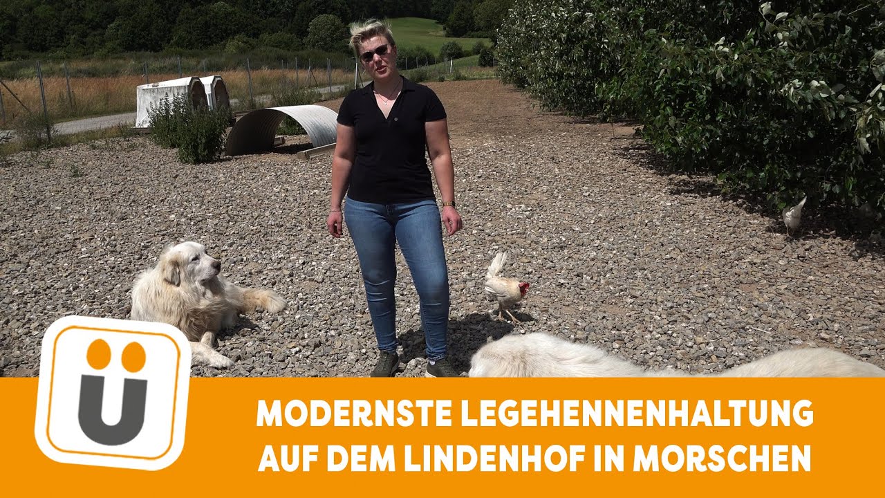 Modernste Legehennenhaltung auf dem Lindenhof in Morschen
