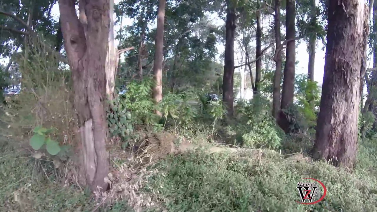 DRONE FLAGRA DOIS HOMENS DENTRO DO CARRO