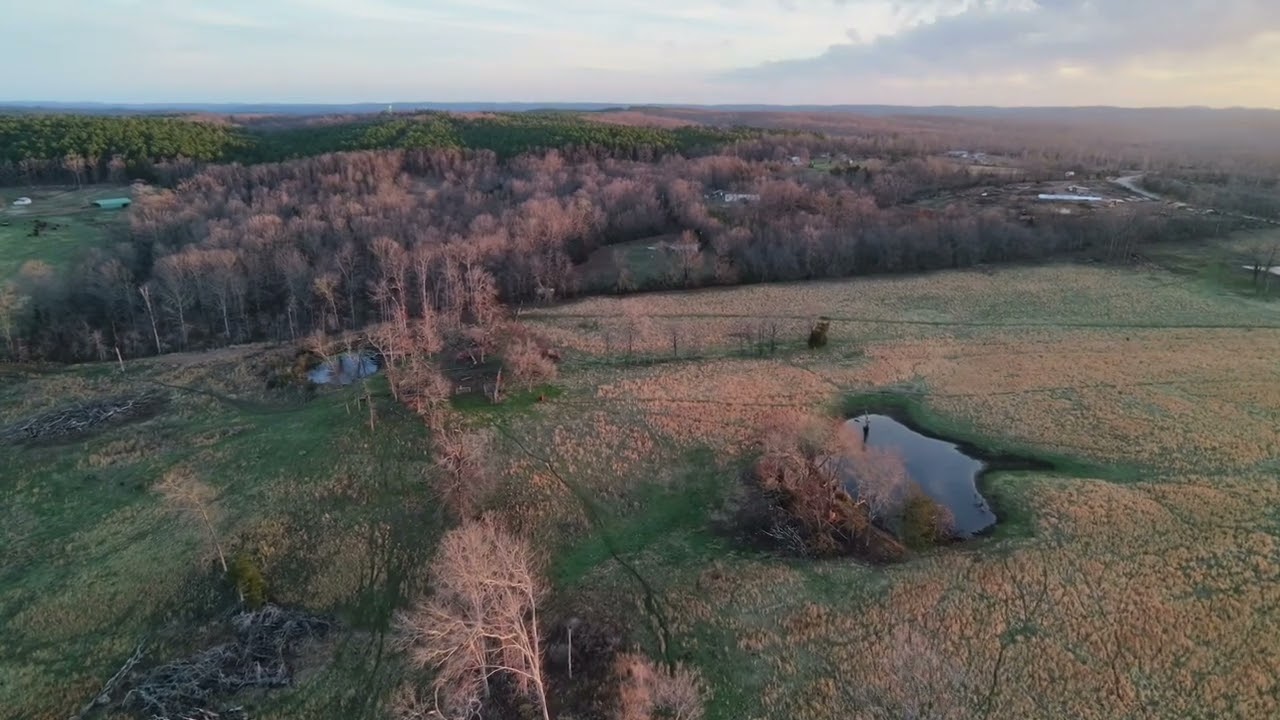 4k resolution @60 fps..DJI Neo2. Loving this little drone!,