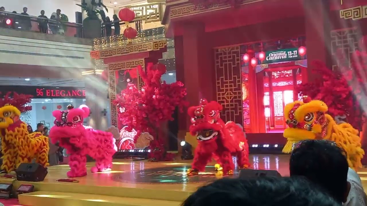 Hanum Lihat Barongsai | itu Terlalu Keras