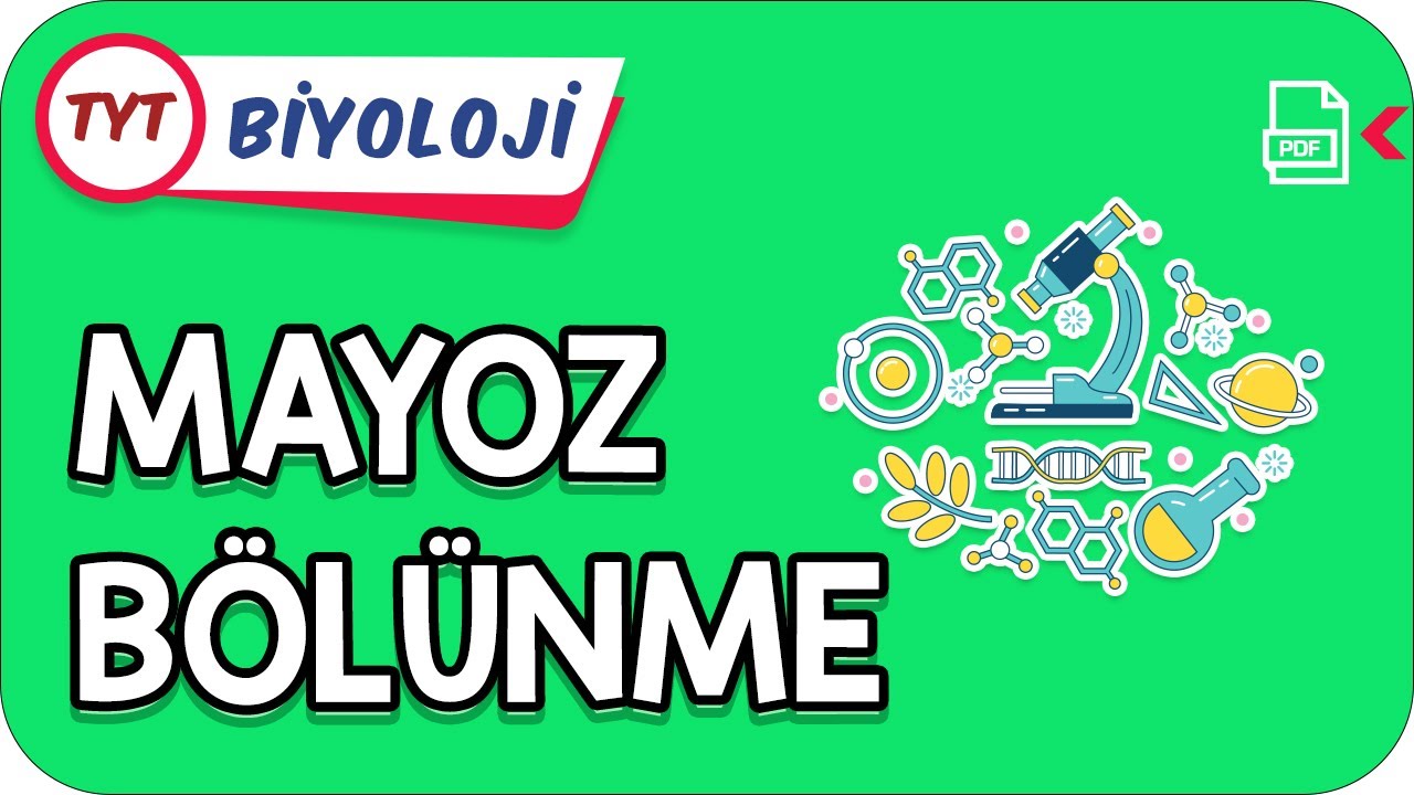 Mayoz Bölünme | TYT Hızlanış Kampı    #Kamp2021