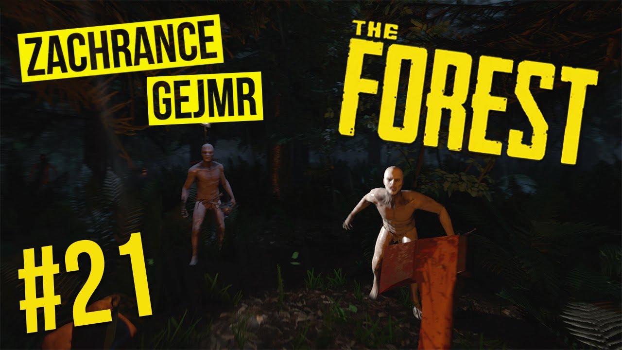 The Forest | Tohle jsme neměli dělat... | w/ GEJMR #21