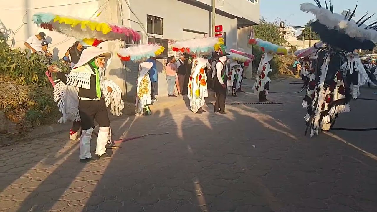Carnaval de papalotla Trinidad rematé culebra 2026