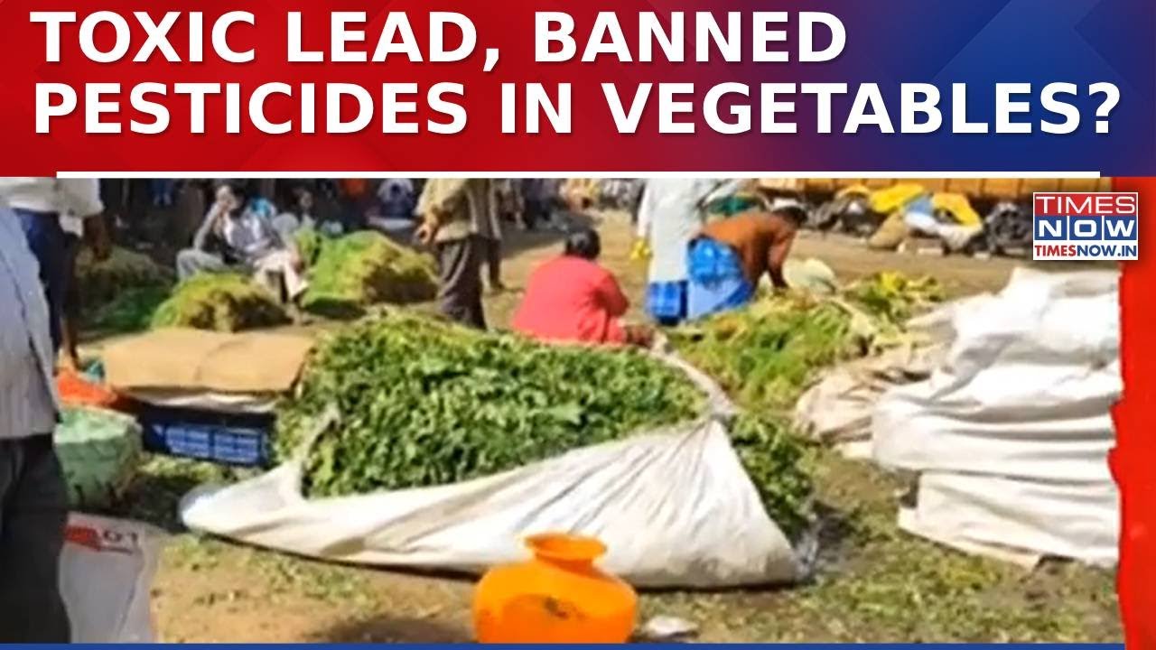 Bengaluru Vegetable Scare: CPCB Finds Toxic Lead And Banned Pesticides In Food Samples | Watch