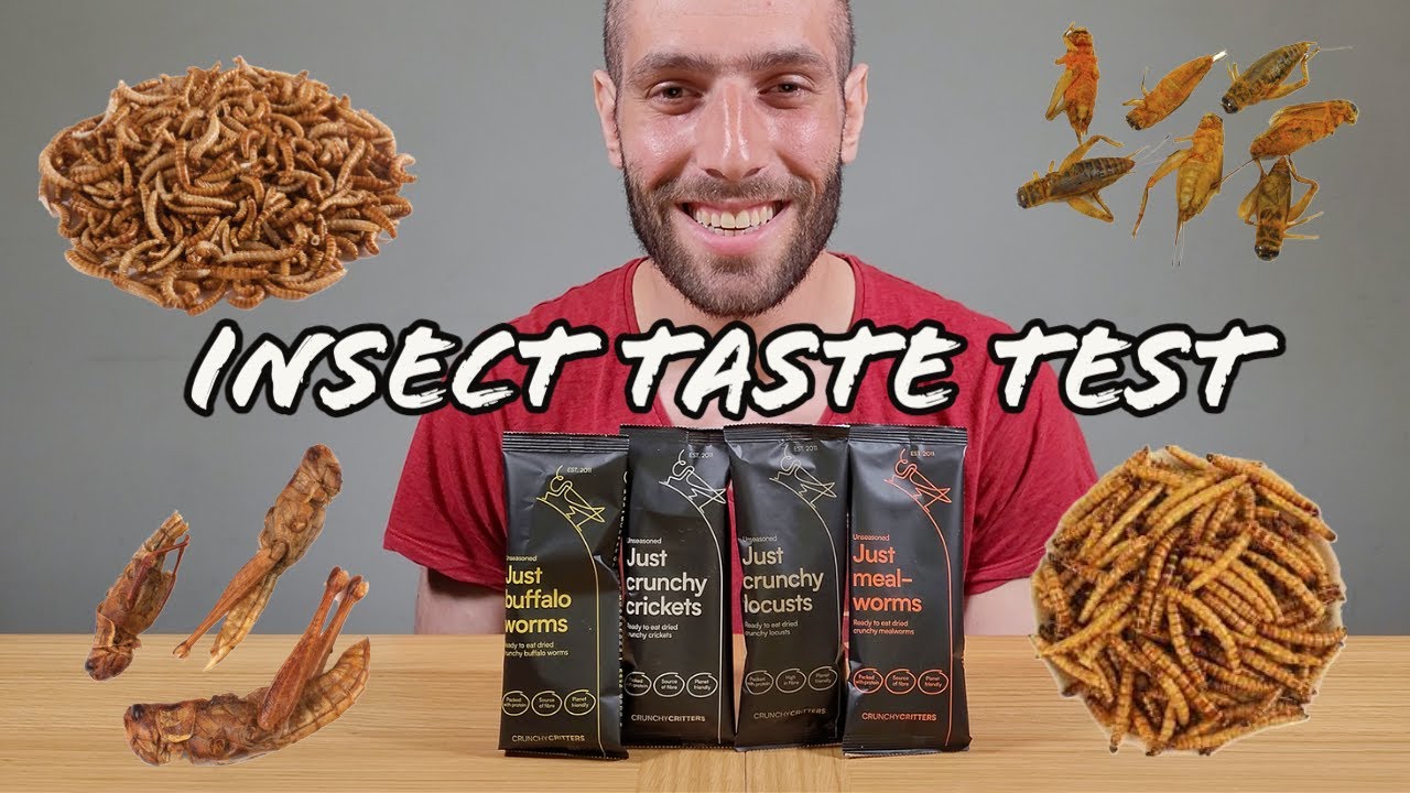 🐛 TASTE TESTING EDIBLE INSECTS & WORMS 🐛 | WEIRD FOOD | WOULD YOU DARE? | GUR TRIES BUGS | GUR EATS