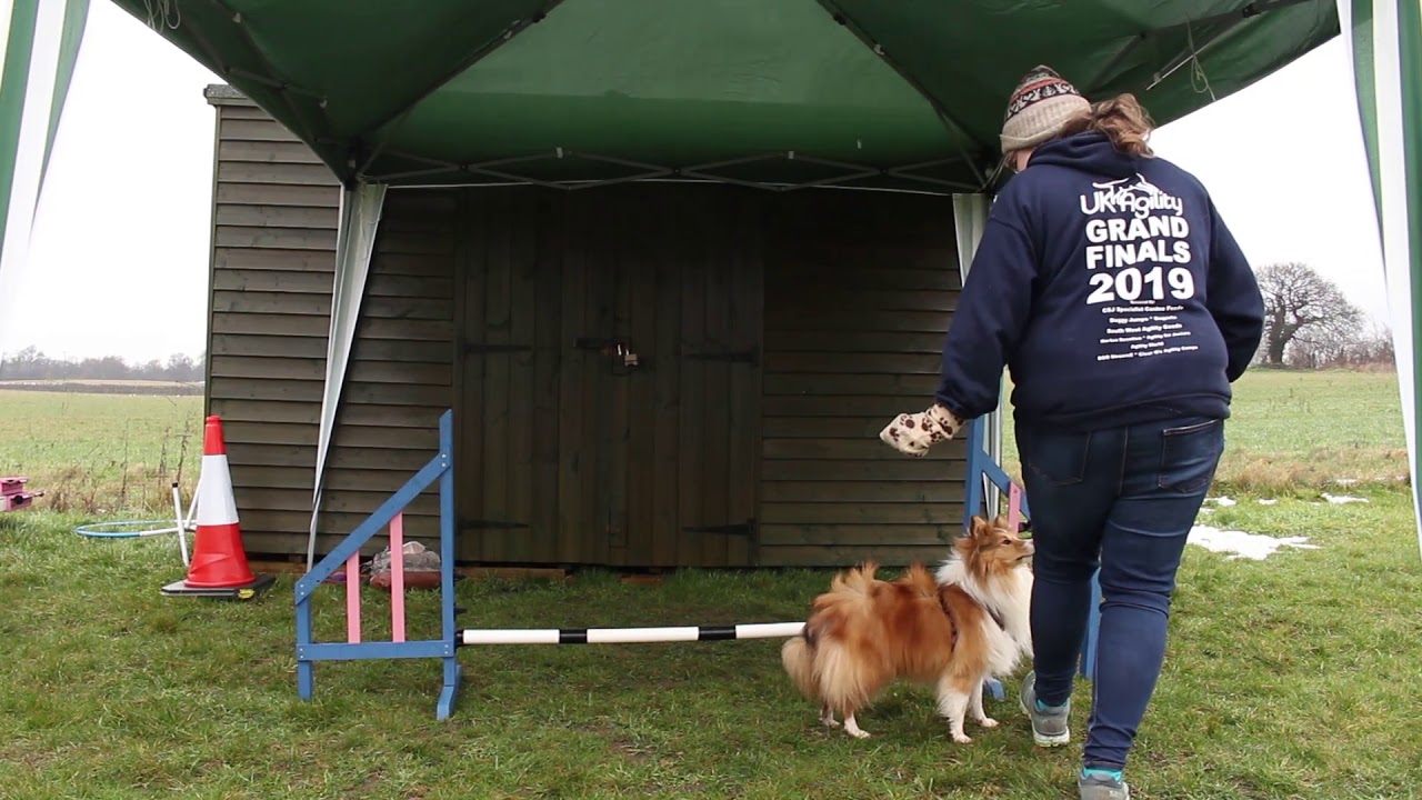 A-Z Agility: What is the Pivot, Front Cross and Blind Cross turns?