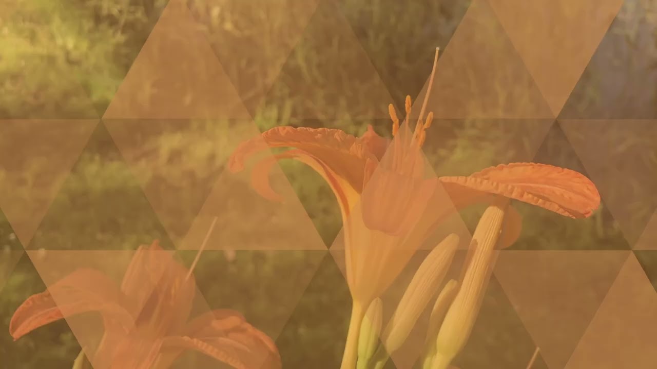 Sam Gorman - Amber