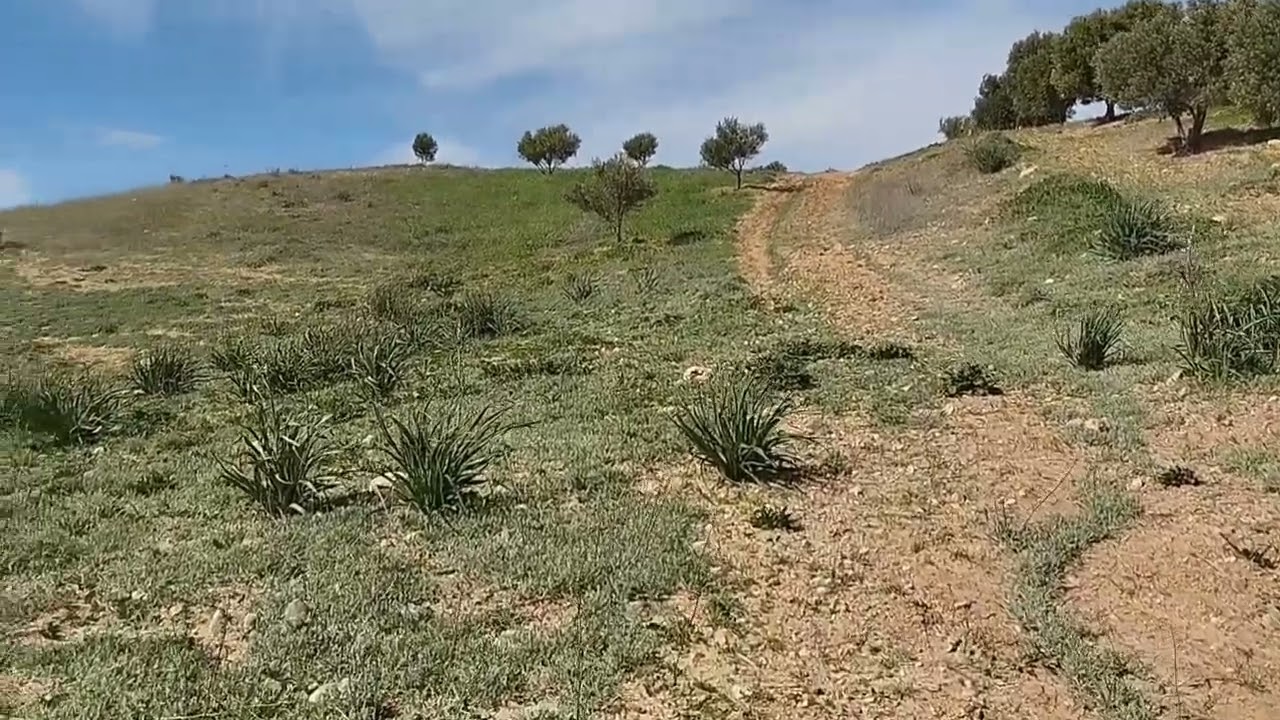 جوله بنواحي طريق وجده فرجه ممتعه ويلاه معنا 😊🎬📹📸👍