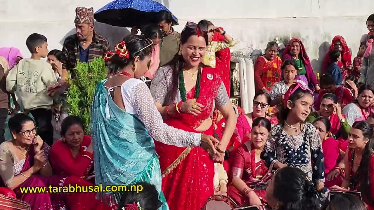 Teej Day Special 2082 Full video || तिजको दिन रमाइलो 