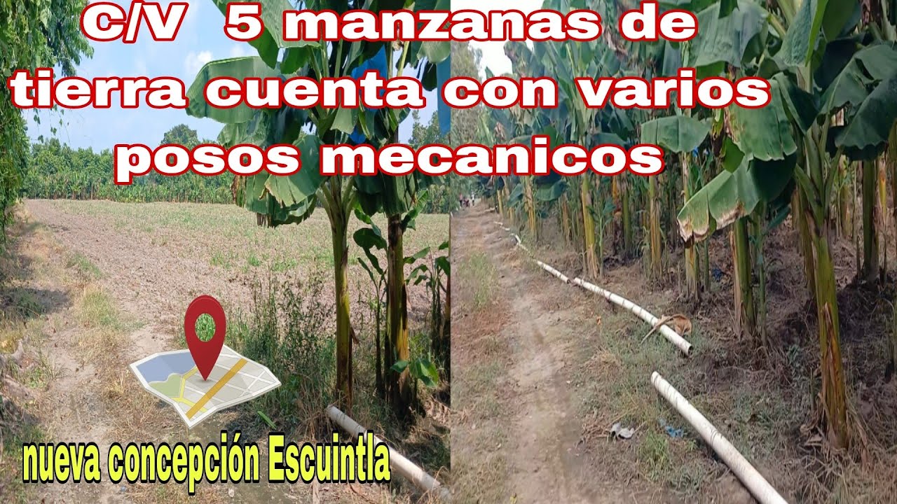 5 manzanas de tierra en venta nueva concepción Escuintla/ ideal para cultivo o vivienda....