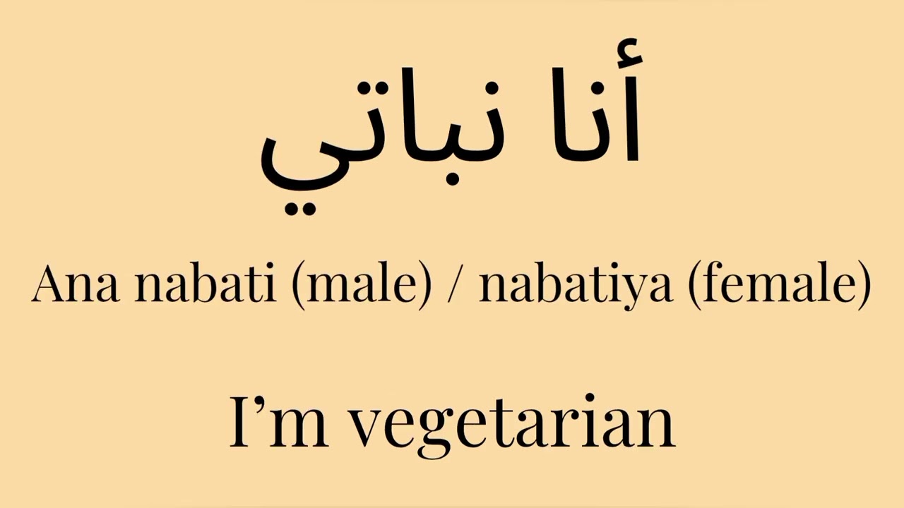 Learn 50+ Arabic Words for Travel ✈️ With Voiceover | #learnarabic #arabic #learning #learnlanguages