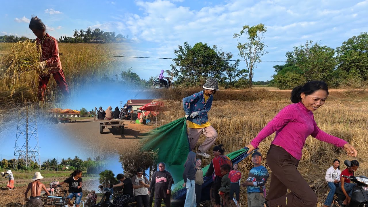 This Real Cambodia People | You Won’t Believe That Simple Village Lifestyle | I Show You 4K Video