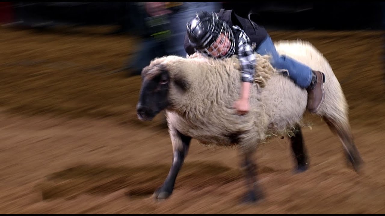 Mutton Bustin' highlights | San Antonio Rodeo | Feb. 18, 2022
