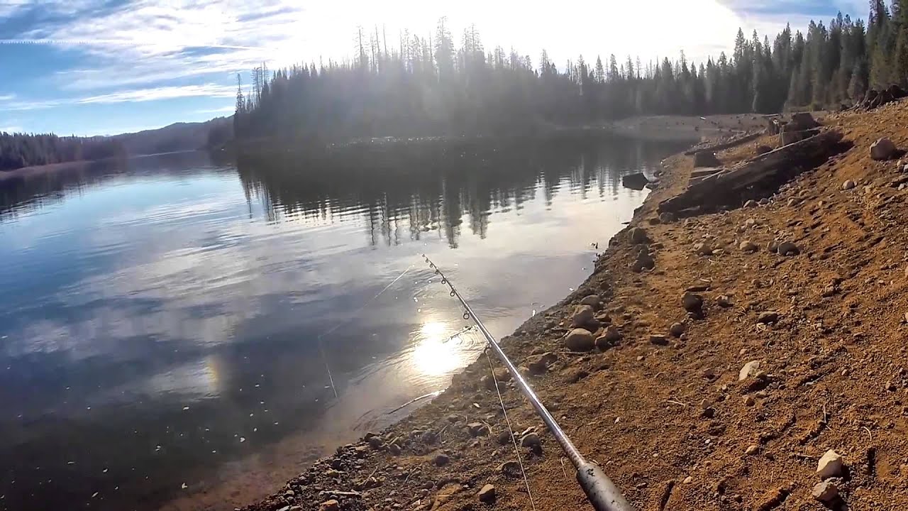 stumpy meadows adventure