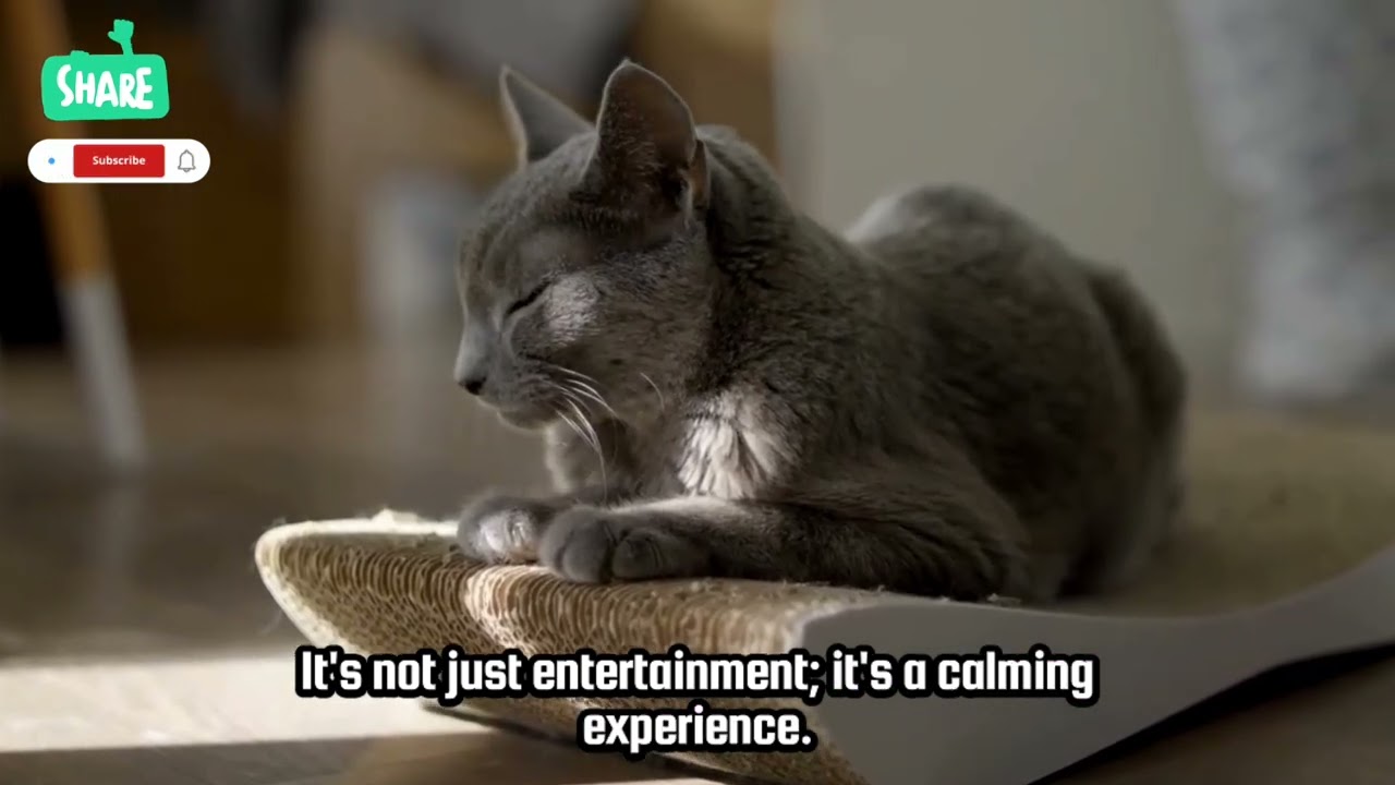 Cat TV for Cats to Watch 😺 Relaxing Music for Anti Anxiety Cats 😺 Healing Music for Stress Relief