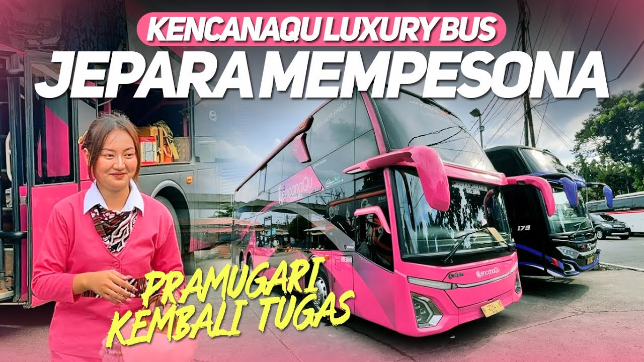 KEMBALI BERTUGAS PRAMUGARI KENCANAQU JEPARA‼️MOMEN NATARU AUTO FULL SENYUM PENUMPANG MEMBLUDAK