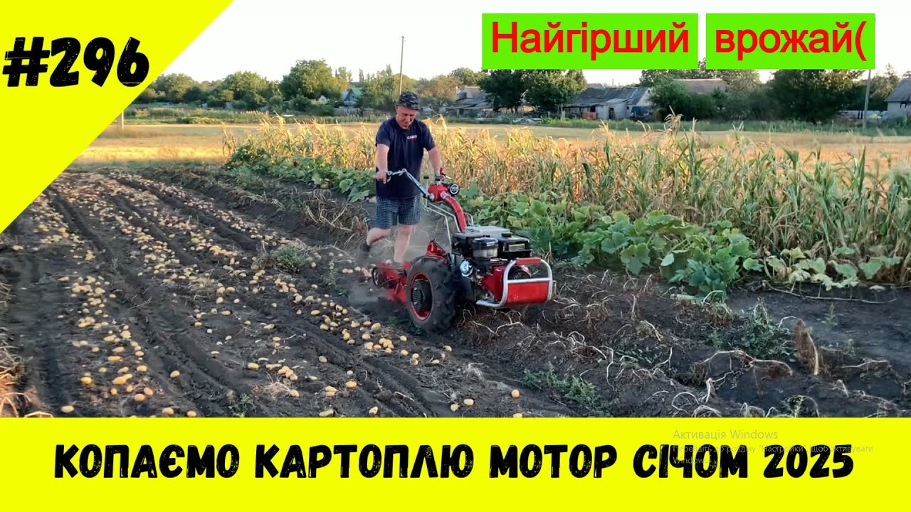 Копаємо картоплю Мотор Січом 2025