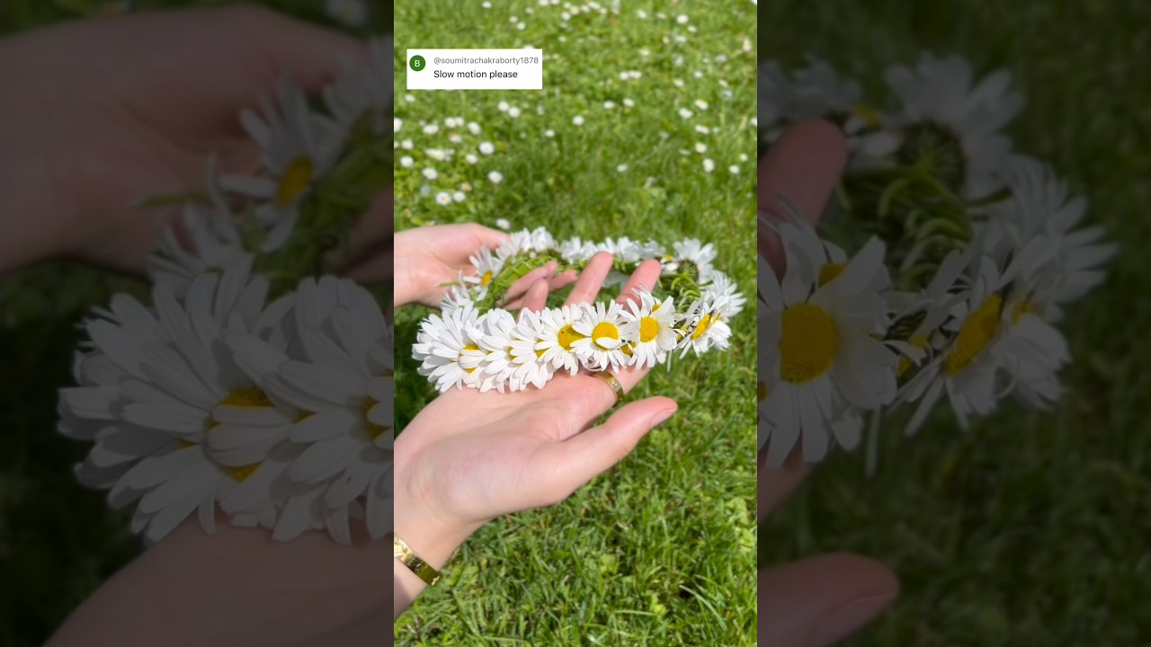 How to make a Daisy Crown 