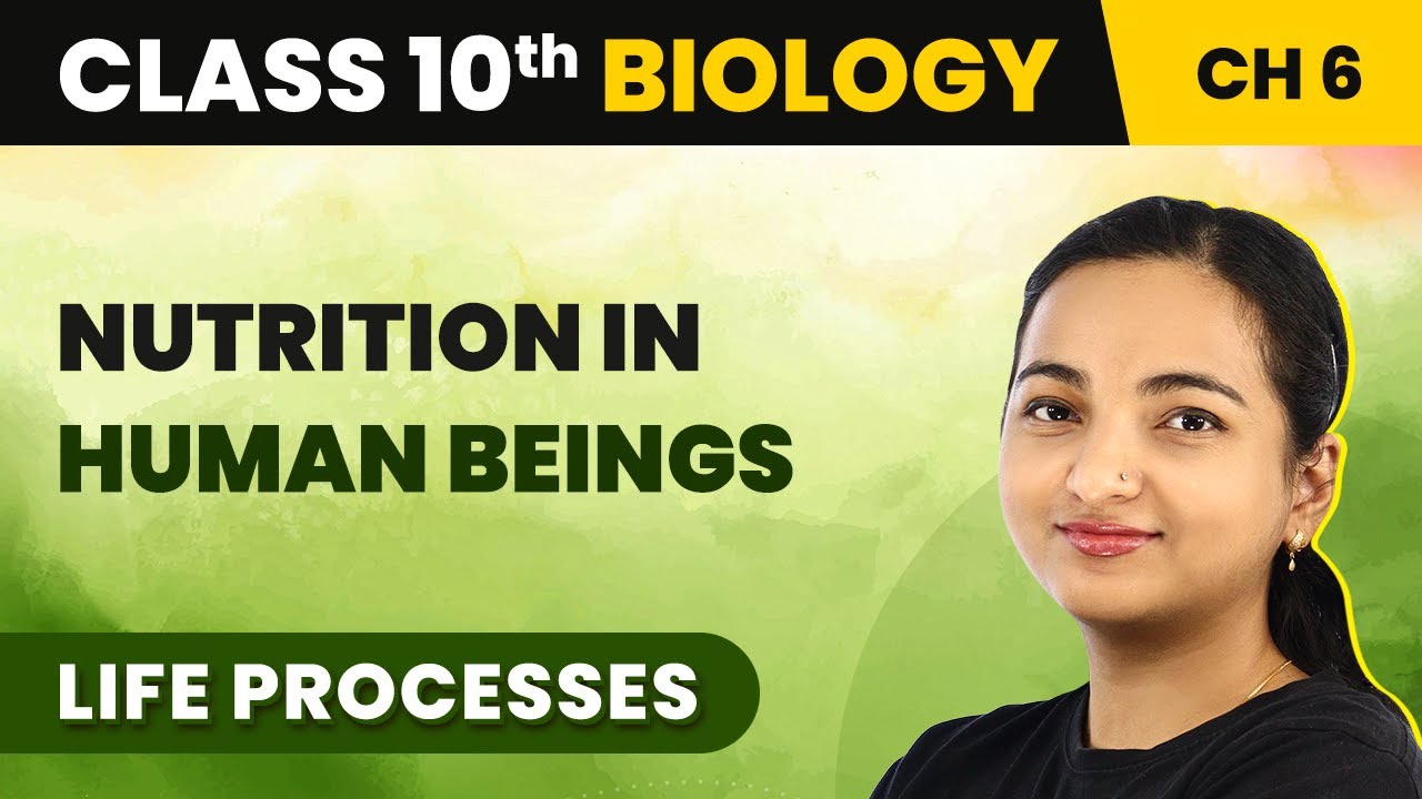 Class 10 Biology Chapter 6 | Nutrition in Human Beings - Life Processes