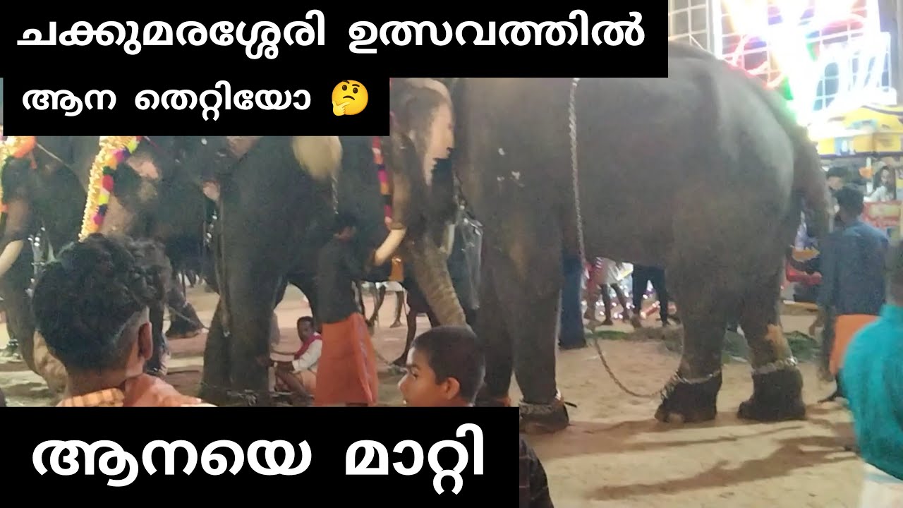 ചക്കുമരശ്ശേരി ഉത്സവത്തിനിടയിൽ ആന തെറ്റിയോ 🤔 Elephant attack in Chakkumarassery