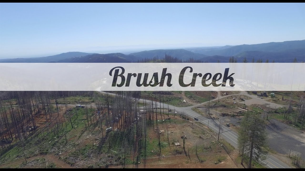 Brush Creek, California