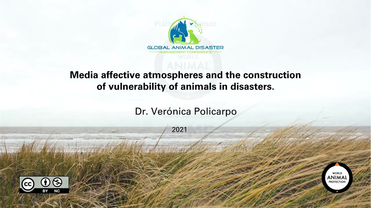 DAY 2 Media affective atmospheres and the construction of vulnerability of animals in disasters.