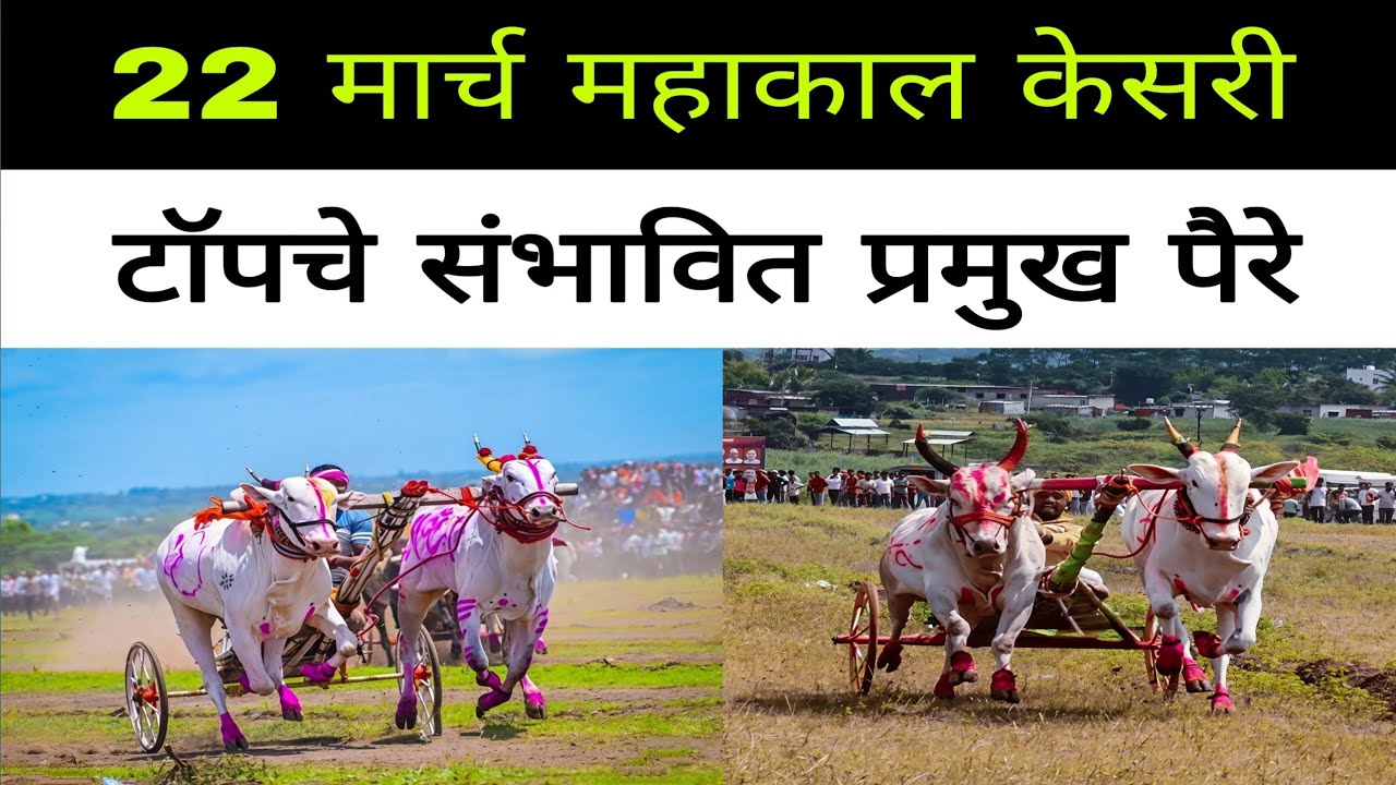 22 मार्च ट्रॅक्टर मैदान पैरे.#महाकालकेसरी#बैलगाडाशर्यत#बकासुर#मथूर#बैलशर्यत#bailgadasharayt#bakasur