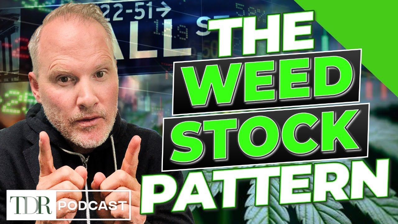 Почему акции каннабиса повторяют эту тенденцию | TDR Cannabis in 5
