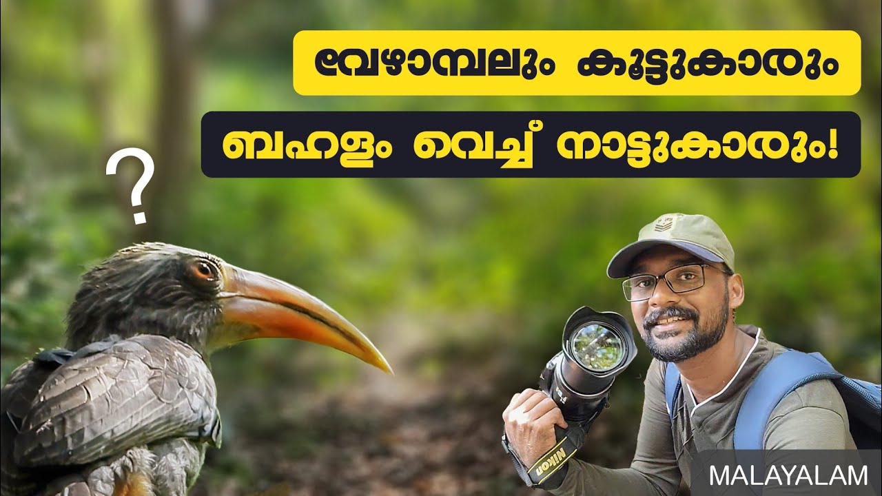 തട്ടേക്കാട് പക്ഷികളില്ലെന്നോ? | Salim Ali Bird Trail | Kerala | Birding | Malayalam | Vlogoskie e17