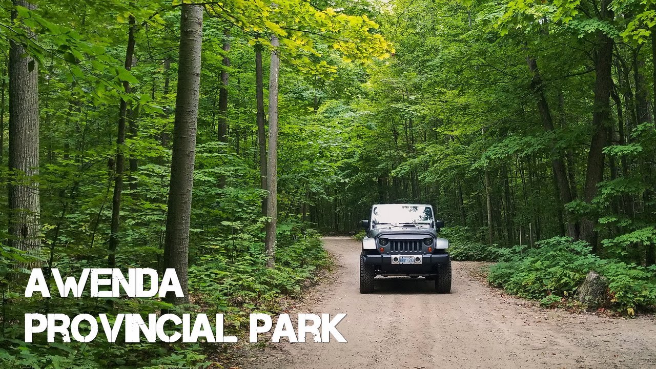 SOLO TENT CAMPING  [Relaxing trip at Awenda Provincial Park  - ASMR]