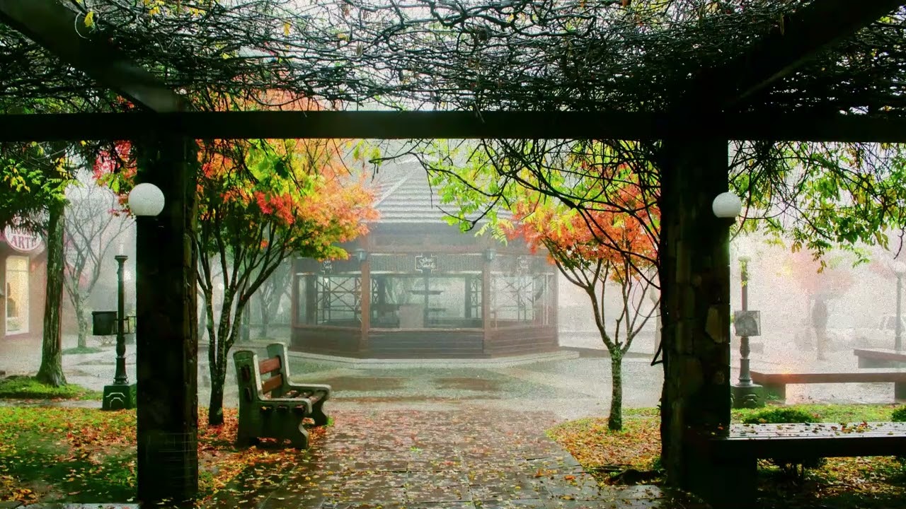 30 Minutes of Calm Rain & Music for Studying or Working
