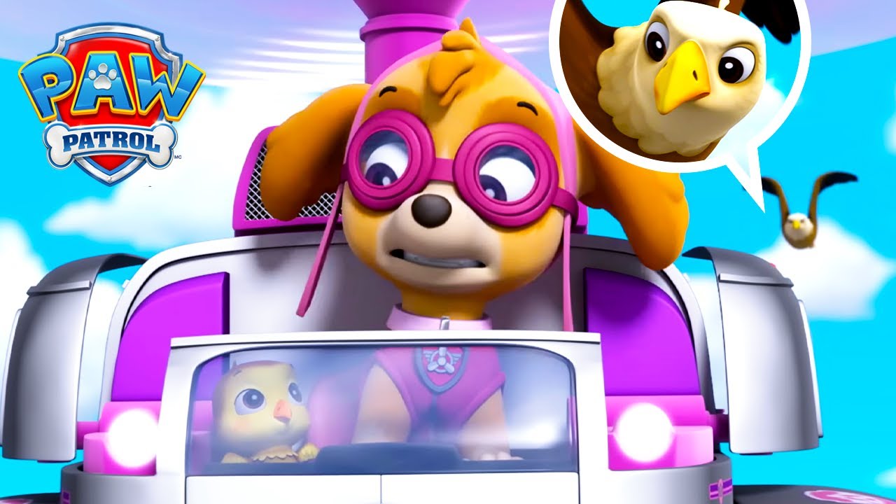 En morørn har mistet sit barn! | PAW Patrol | På Dansk | Sammenklip