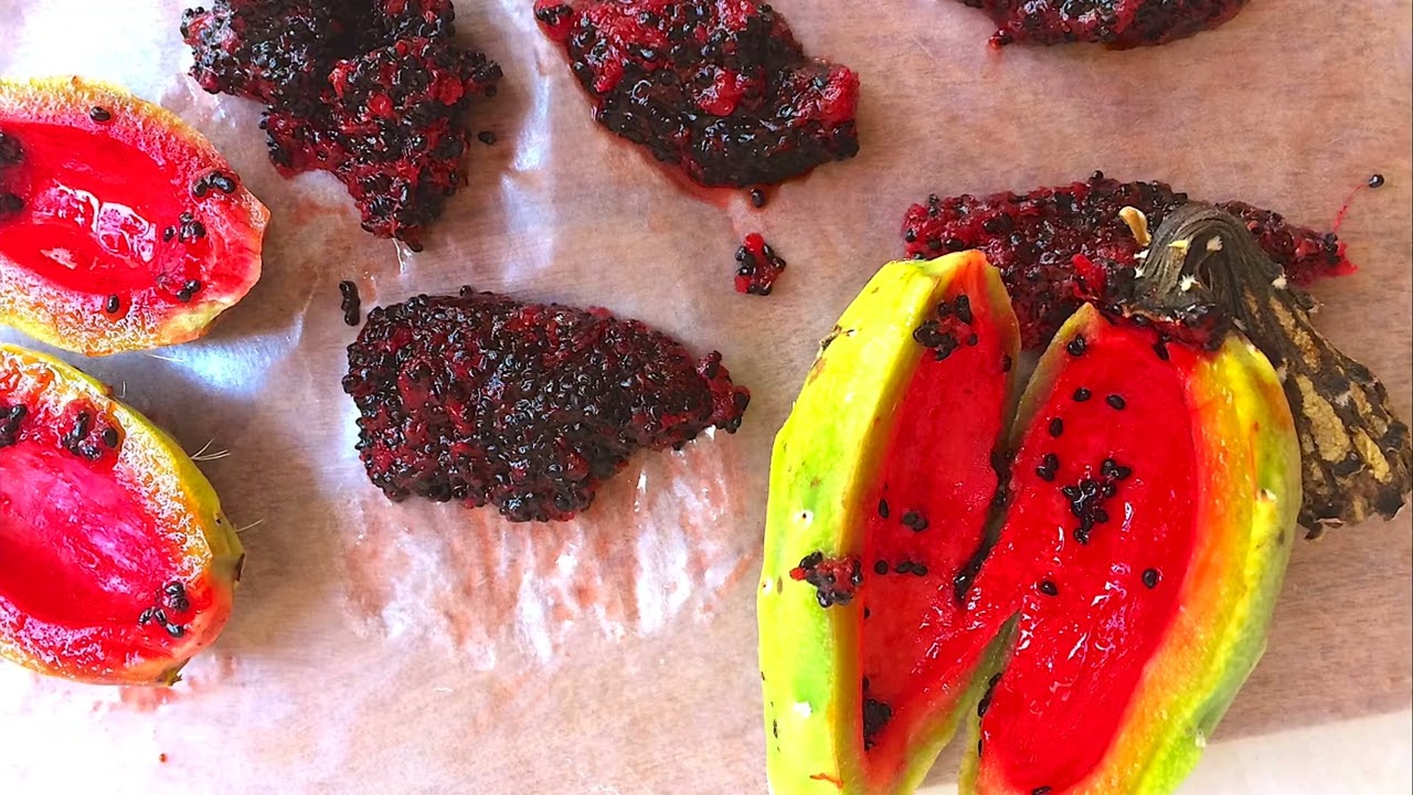 all about saguaro fruit