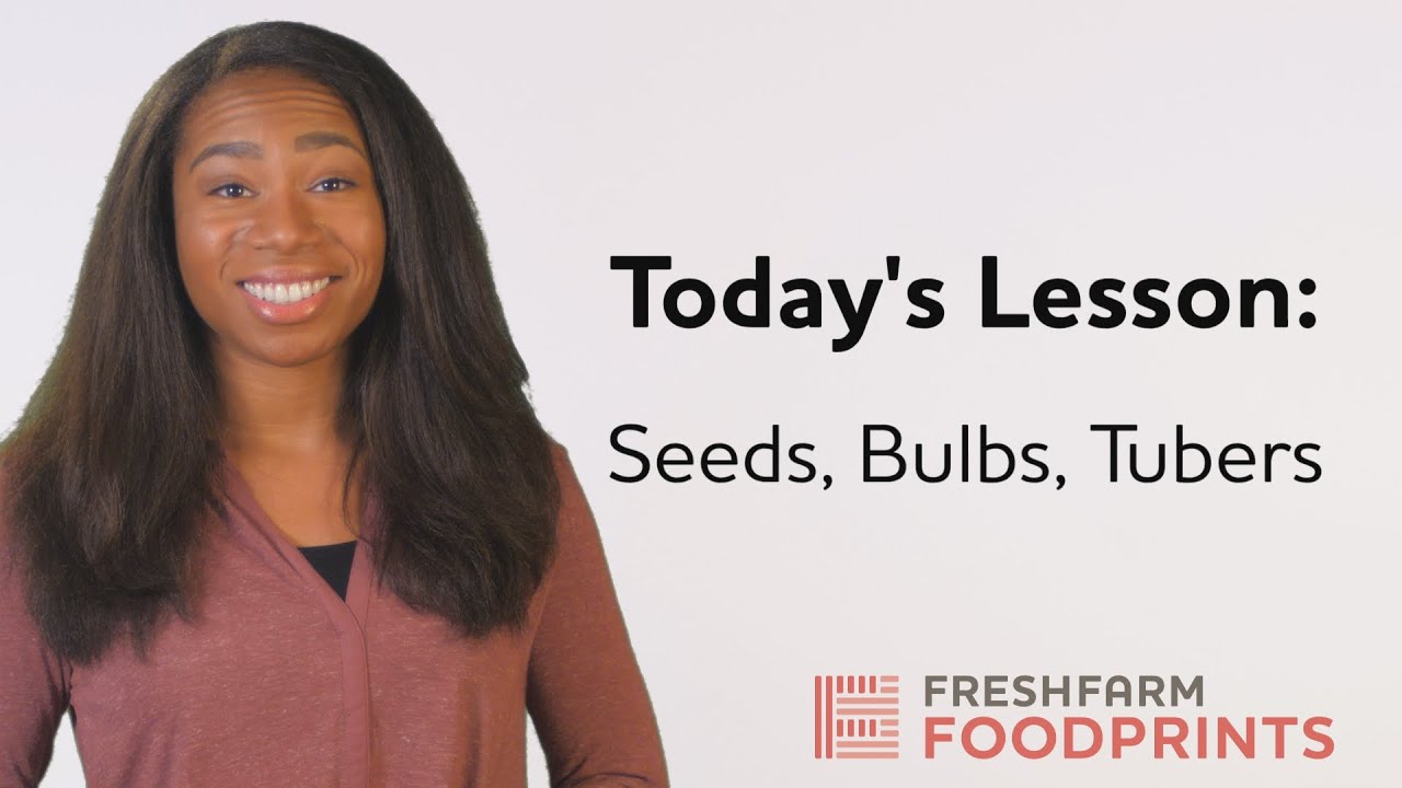 Sprouting Seeds & Growing Clones | FRESHFARM FoodPrints
