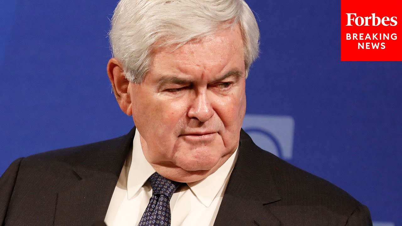 Newt Gingrich admits to 