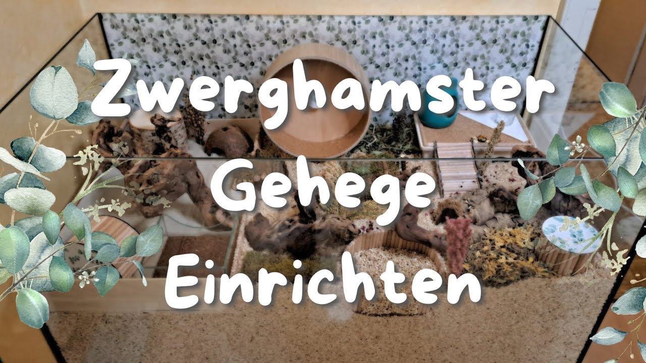Zwerghamster Gehege Einrichten | Nagarium - artgerecht | FranzisPflegeKiste