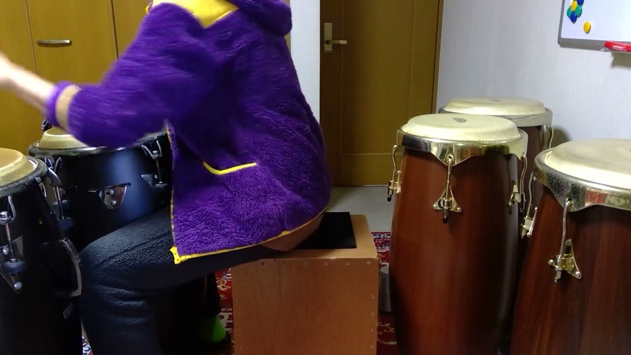 LP conga vs Mountainrythym conga