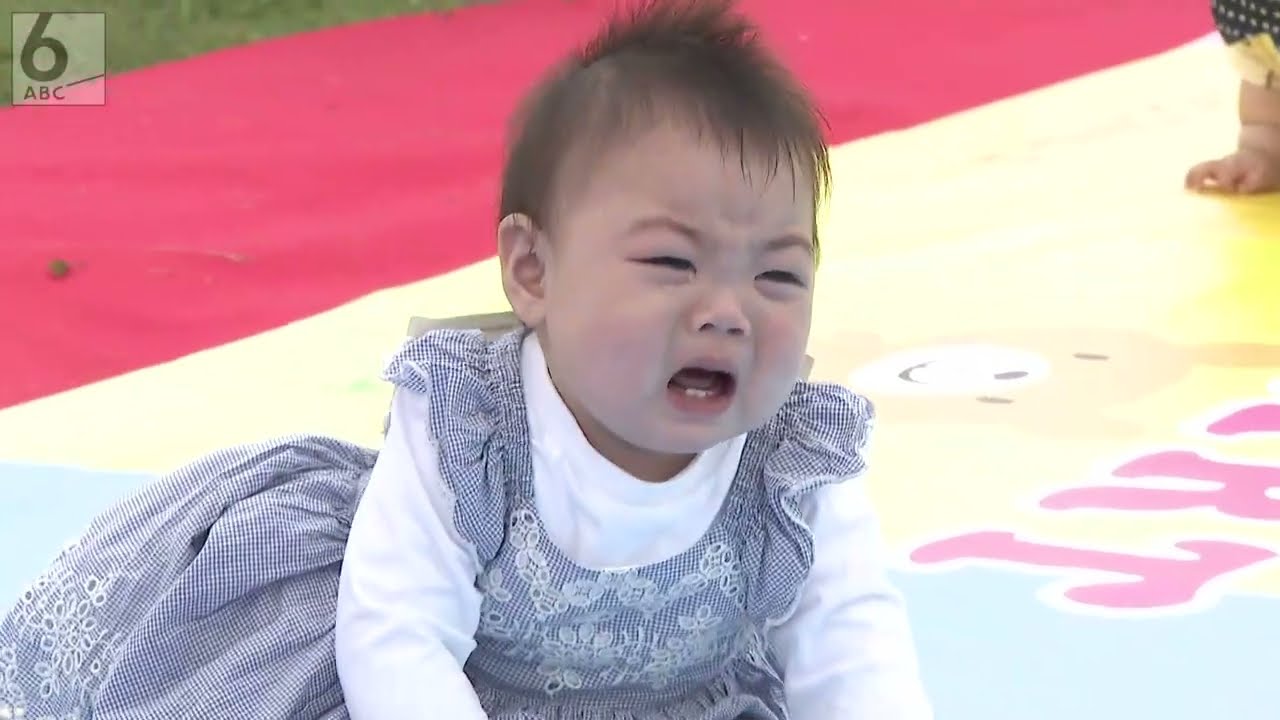 【熱戦】赤ちゃんハイハイレース　3m先の両親を目指して【大阪城】