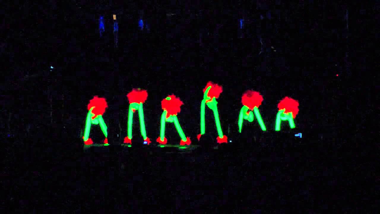 Birds in Black, Flamingo's - Carnaval 2014 Enter